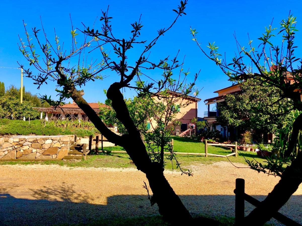 Agriturismo Montefabbrello Magazzini  外观 照片